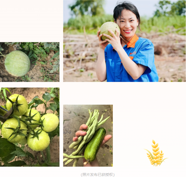 20250725102529.jpg 20250725102529.jpg