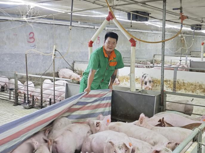 王布1.png 王布1.png